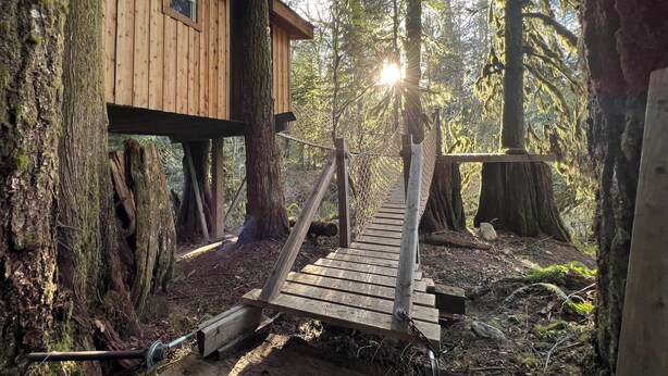 A treehouse with a wooden deck and a rope bridge. - Squamish Tree House (Brackendale)