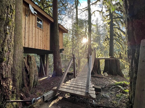 Squamish Tree House