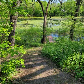 Property grounds - Private Home,1+acre,close to WIDells&CastleRock,YardGames,Firepit& FREE Firewood (Adams)