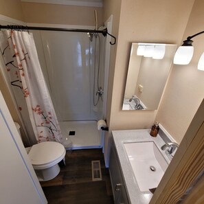 Une salle de bain équipée d’une douche, de toilettes, d’un lavabo et d’un miroir.