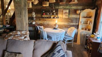 TV, fireplace, books