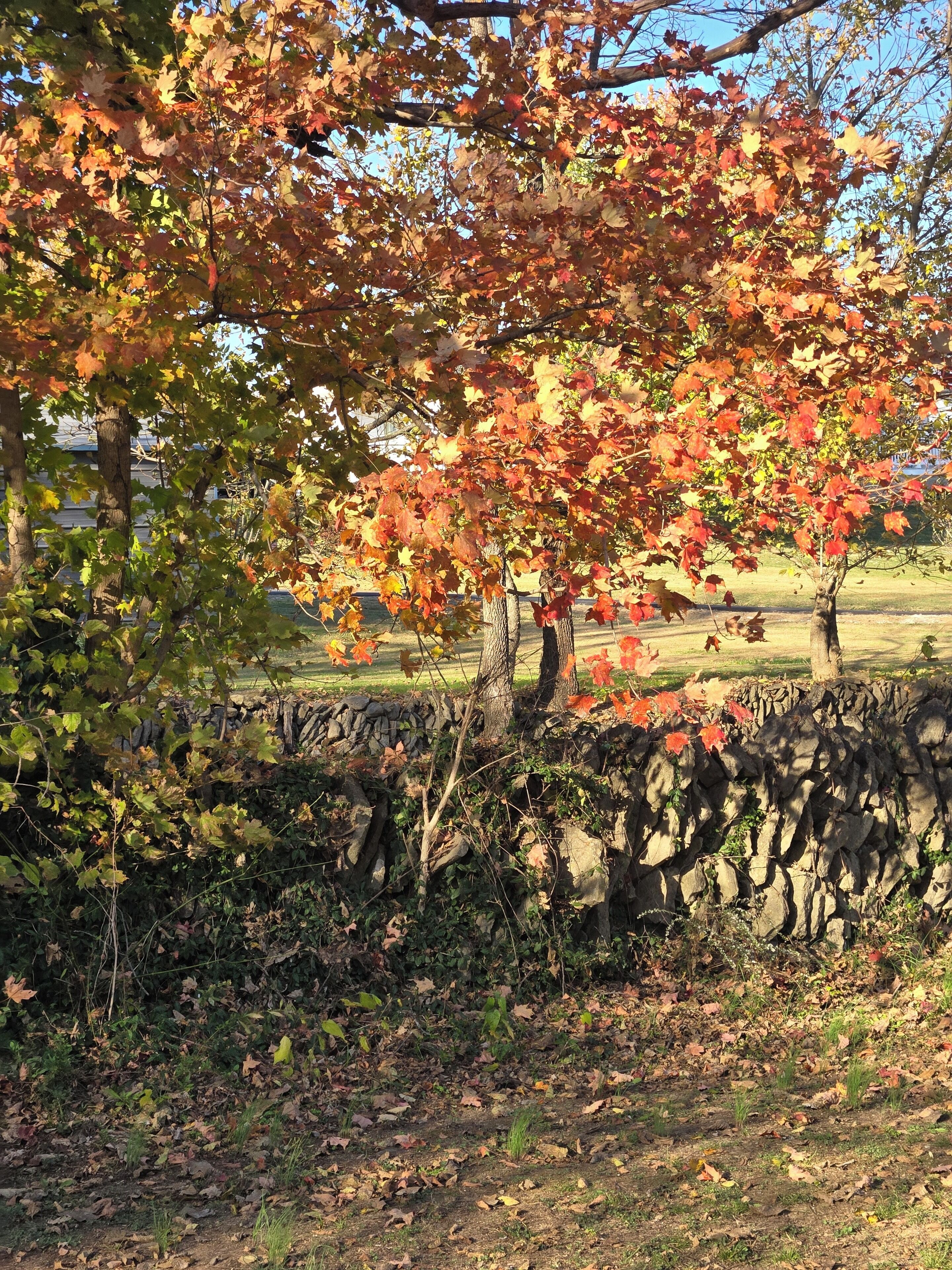 Eine Steinsäule mit einem Baum im Vordergrund und blauem Himmel im Hintergrund.