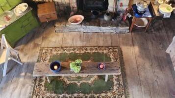 TV, fireplace, books