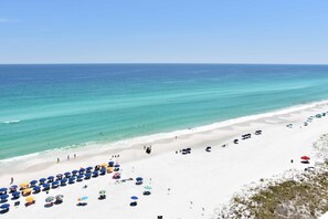 A beach with rows of umbrellas and beach chairs, a sandy shore, and the ocean.