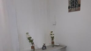 A corner room with a white console table, two potted plants, a small artwork on the wall, and a white curtain. - Cosy F2 in cosy villa + car rental possible (Pointe noire)