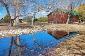 Property grounds - Cozy Cabin  @ White Mountains Bison Ranch  (Overgaard)
