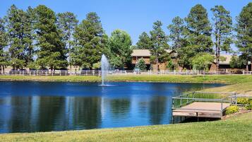 Terrain de l’hébergement