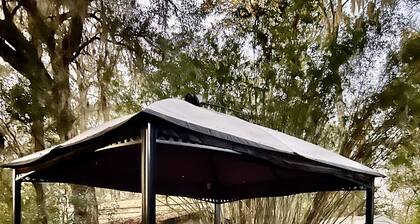 Swamp Terrace-Walk to UF