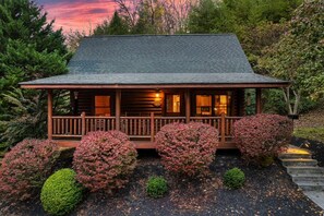 Cozy cabin surrounded by lush greenery and dense trees, offering a serene retreat.