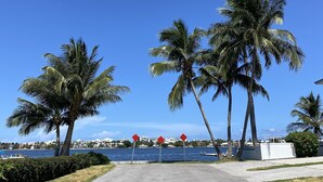 Un sendero pavimentado que conduce a un paseo marítimo con palmeras y un cielo azul despejado.