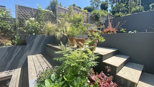A rooftop garden with various potted plants, wooden steps, and a metal fence. - Spacious family townhouse, Telegraph Hill, Summer '23 (London)