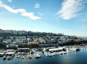 Marina - FIFA ready-Queen Anne Rooftop by Lake Union!Near Stadiums!Sauna!Firepit!Parking! (Seattle)