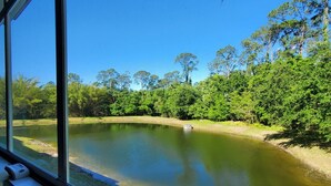 Een rivier met weelderige begroeiing aan beide oevers, gezien vanuit een raam.