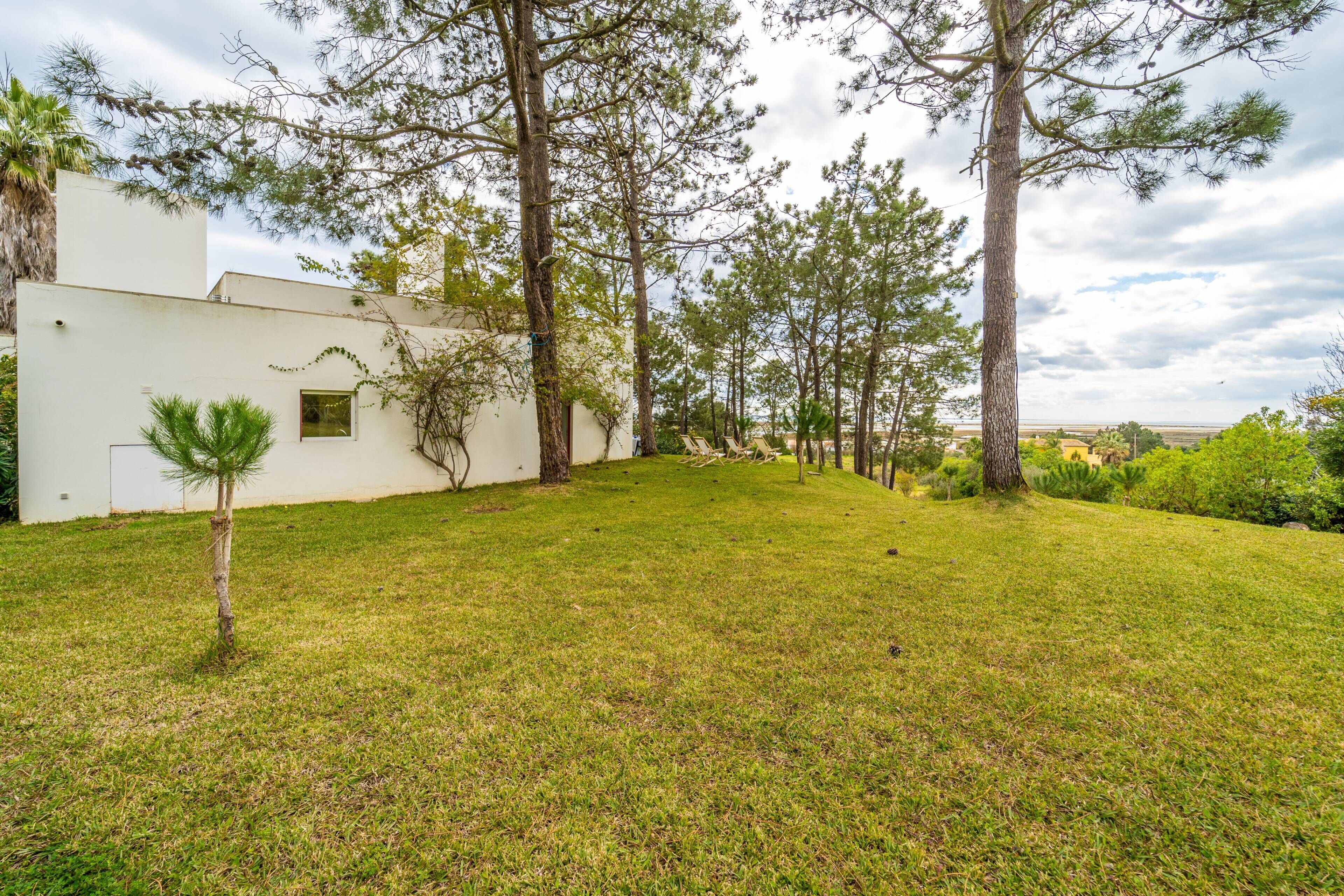 A grassy yard with a white building, trees, and a clear sky.