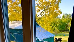 A window view of a green field with a barn and a fence. - THE LOFT an UPSCALE RUSTIC 2 Bedroom 2 Washroom Private Guest House on 16acres. (Tottenham)