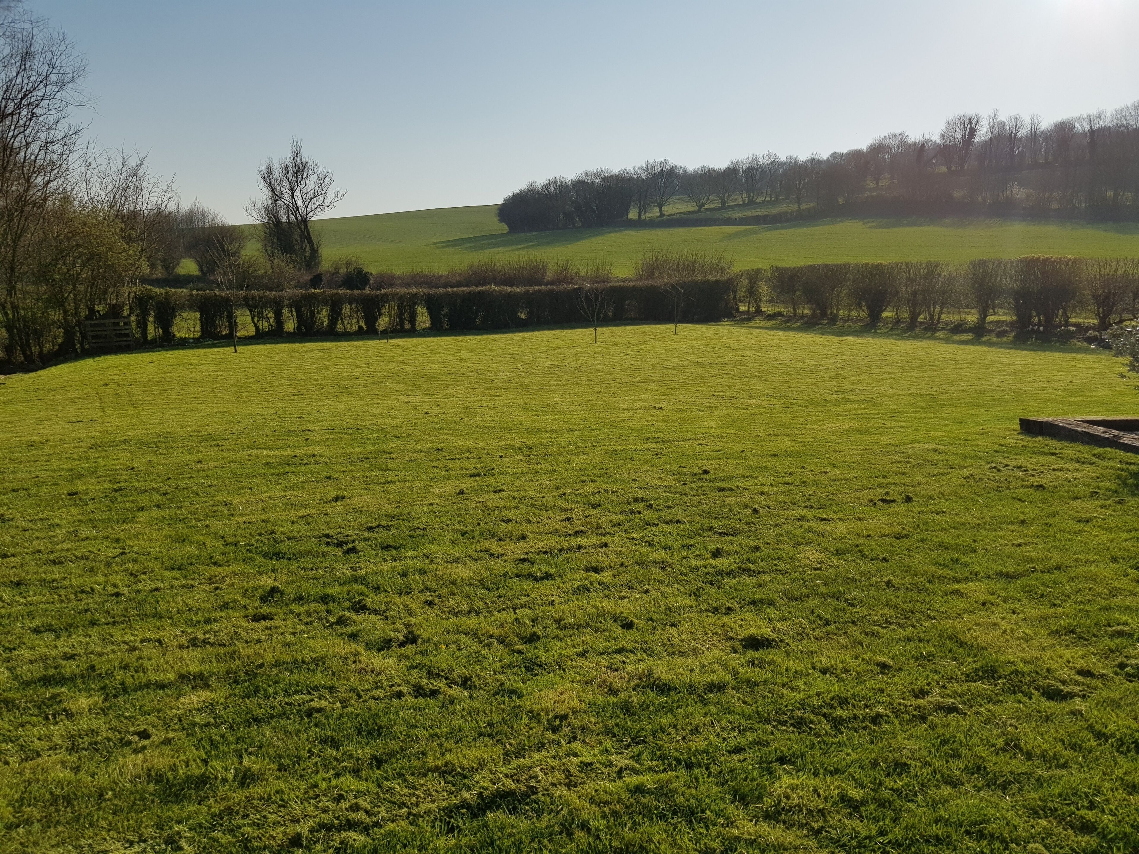 A grassy field with a stone wall and trees in the background.