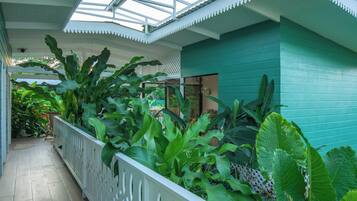 A covered walkway with a white railing, surrounded by lush green plants and a teal-colored wall.