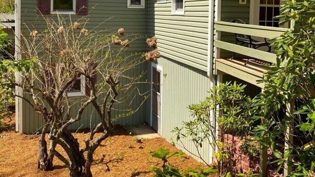 A two-story house with a porch, a small garden, and a tree in front. - Cozy Mtn. Home in Newland (Newland)