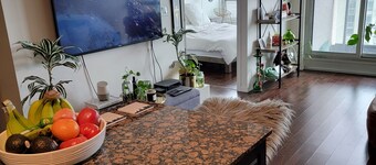 Toronto Fort York District