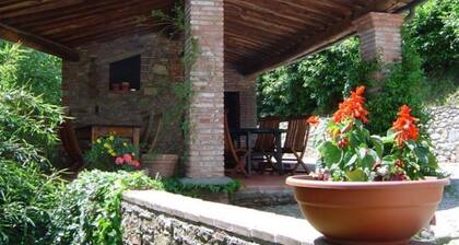 Lovely villa near Lucca, sleeps 15, ideal for pool, beach or sightseeing holiday
