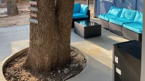 Un espace extérieur aménagé avec une zone salon couverte, comprenant un grand arbre, un canapé bleu et un réfrigérateur noir.