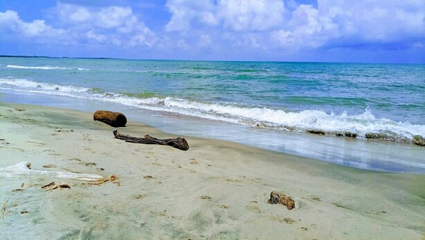 A beach with clear turquoise water, a sandy shore, and a large log on the sand. - Tambo Marina Ecohostal - Hostel (Santa Catalina)