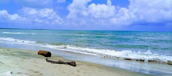 Tambo Marina Ecohostal - Hostel