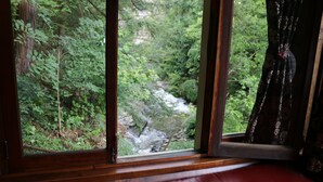 Una ventana con vistas a una zona boscosa y un arroyo.