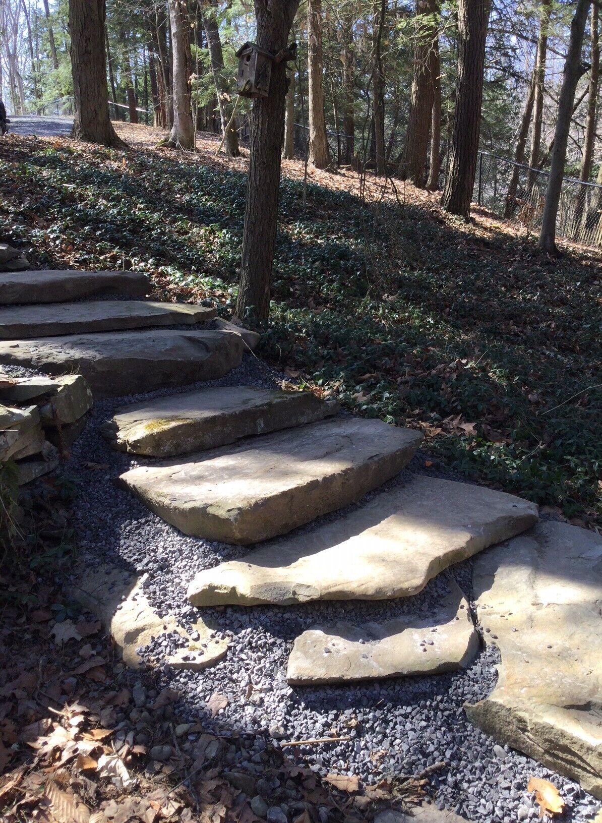 Àrea exterior de l'allotjament