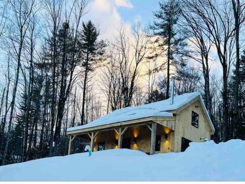 Modern Okemo Smart Cabin As Seen On DIY Network