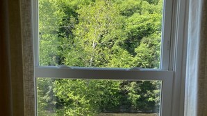 A window with a view of a green landscape, including trees and a grassy area. - Spacious PA Wilds Getaway! Water views, firepit w/ covered patio (Driftwood)