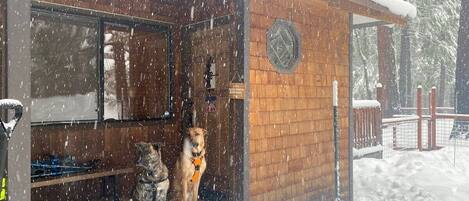 Enceinte de l’hébergement