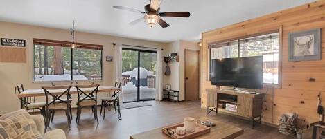 Smart TV, chimenea, reproductor de DVD y libros