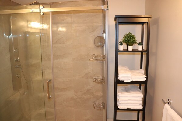 Hair dryer, bidet, towels, soap