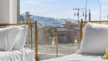 2 bedrooms, desk, iron/ironing board, WiFi