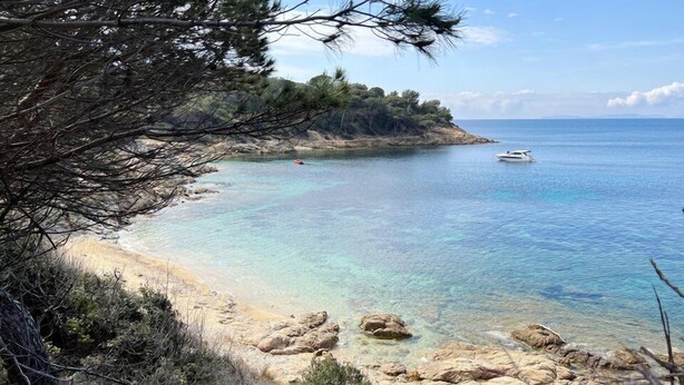 A coastal landscape with clear turquoise waters, rocky shoreline, and dense pine trees. - Bungalow with terrace close to the Gigaro beach (LA CROIX VALMER)