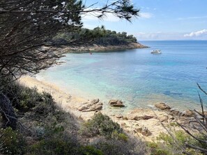 Paesaggio costiero con acque turchesi cristalline, un litorale roccioso e una fitta pineta.