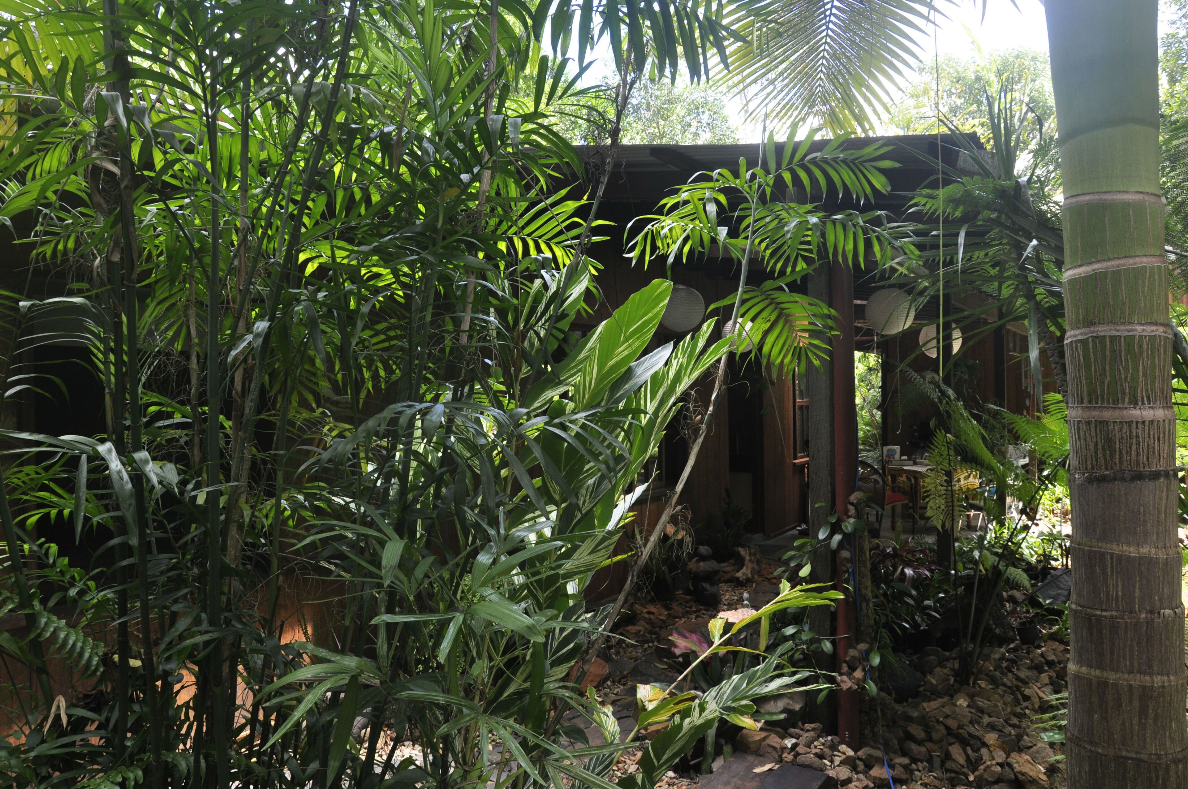 Un jardín exuberante con diversas plantas tropicales y una estructura de madera.