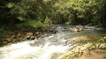A river flowing through a forested area with rocks and greenery.