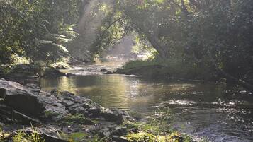 Un paysage naturel comprenant une rivière, des rochers et un feuillage dense.