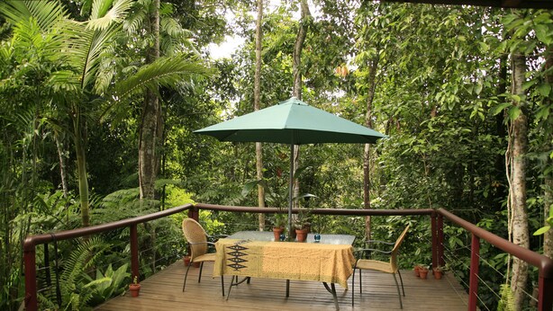 A wooden deck with a table and chairs under a green umbrella, surrounded by lush greenery. - Tropical Bliss BNB (Utchee Creek)