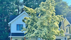 Una casa a due piani con facciata bianca, un portico con due sedie e un grande albero di fronte.