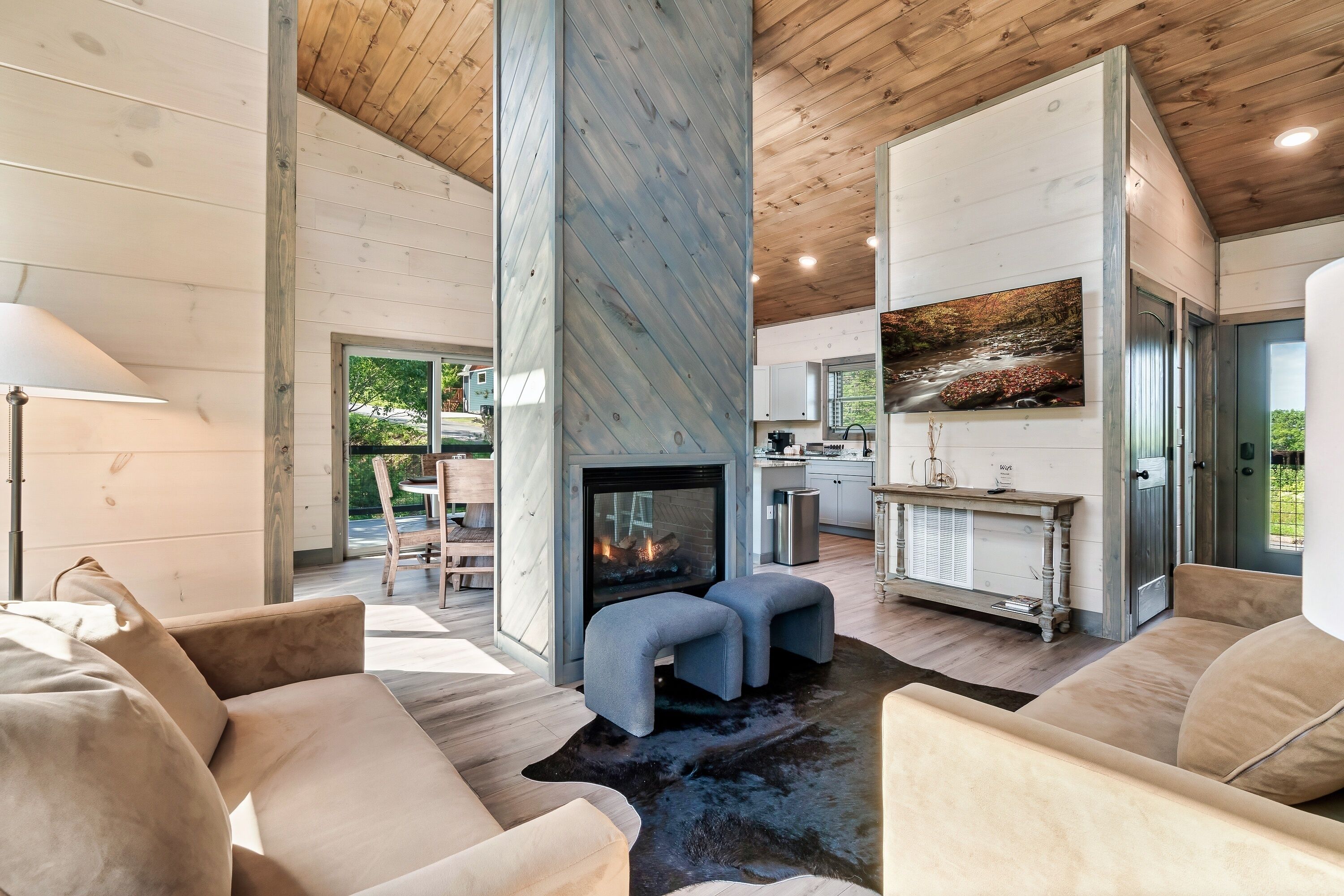Smart TV, fireplace, books