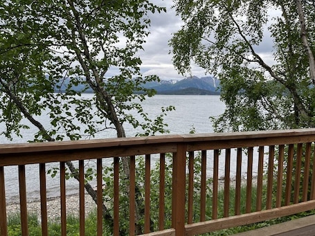 Property grounds. Located close to Tanalian River, amazing views and cozy setting.
