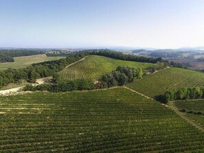 Property grounds - Casa Fattorina B: A characteristic and welcoming apartment surrounded by the greenery, with Free WI-FI. (Chiusi)