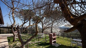 Un espace jardin avec des arbres sans feuilles, une clôture en bois et des sièges d’extérieur.