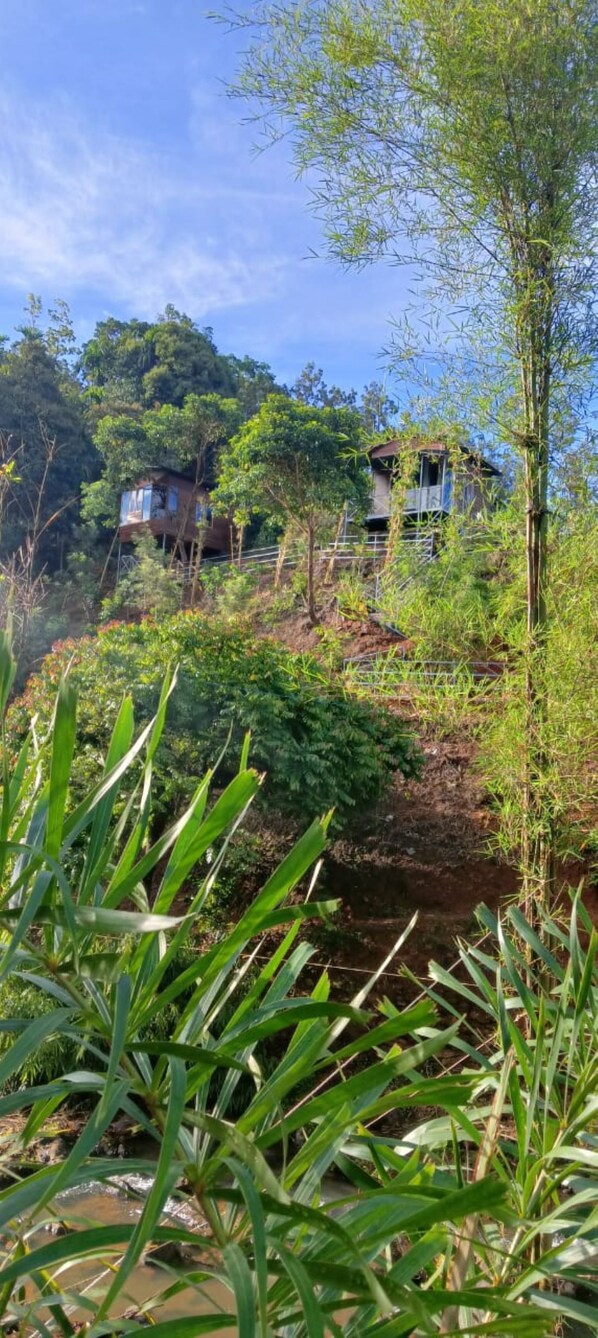 Property grounds - Romantic Huts on a Mountain with a Natural Stream (Mananthavady)