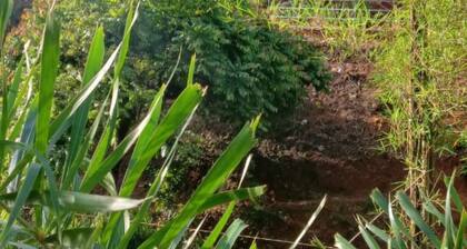 Romantic Huts on a Mountain with a Natural Stream