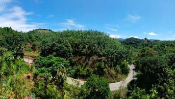 Vista desde la propiedad
