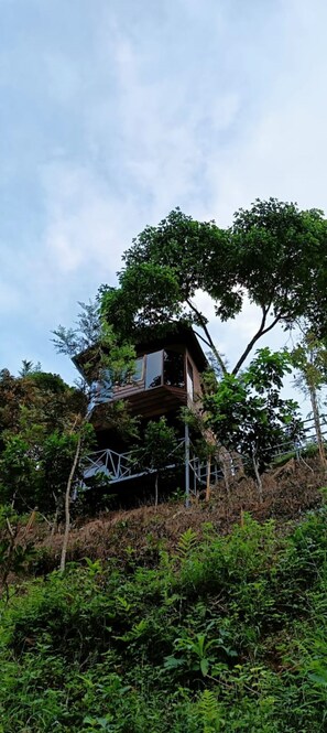 Exterior - Romantic Huts on a Mountain with a Natural Stream (Mananthavady)